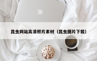渭南昆虫网站高清照片素材（昆虫图片下载）